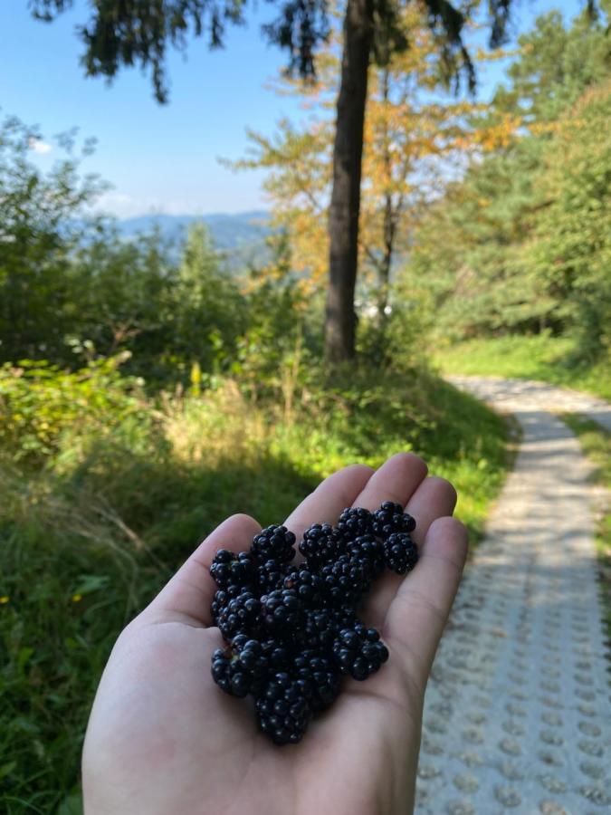 Hotel Milusia Muszyna Zewnętrze zdjęcie
